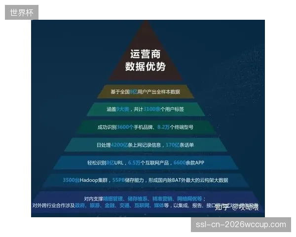 粉丝分级服务体系全面落地 实现资源精准配置